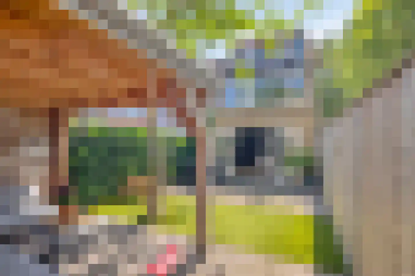 Boendermakerpad 1 Breda thumbnail 35