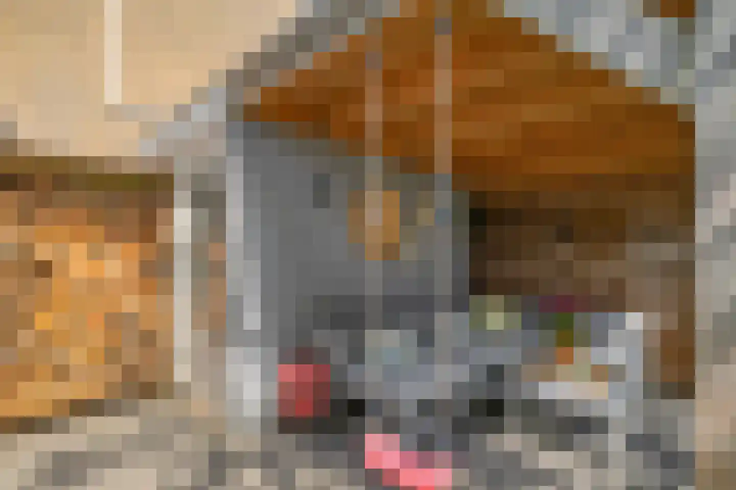 Boendermakerpad 1 Breda thumbnail 36