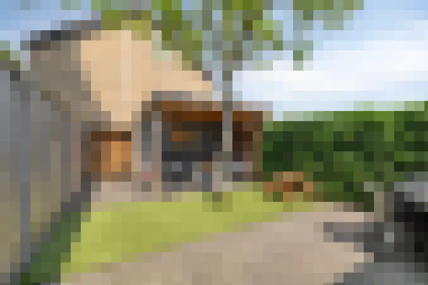 Boendermakerpad 1 Breda thumbnail 37