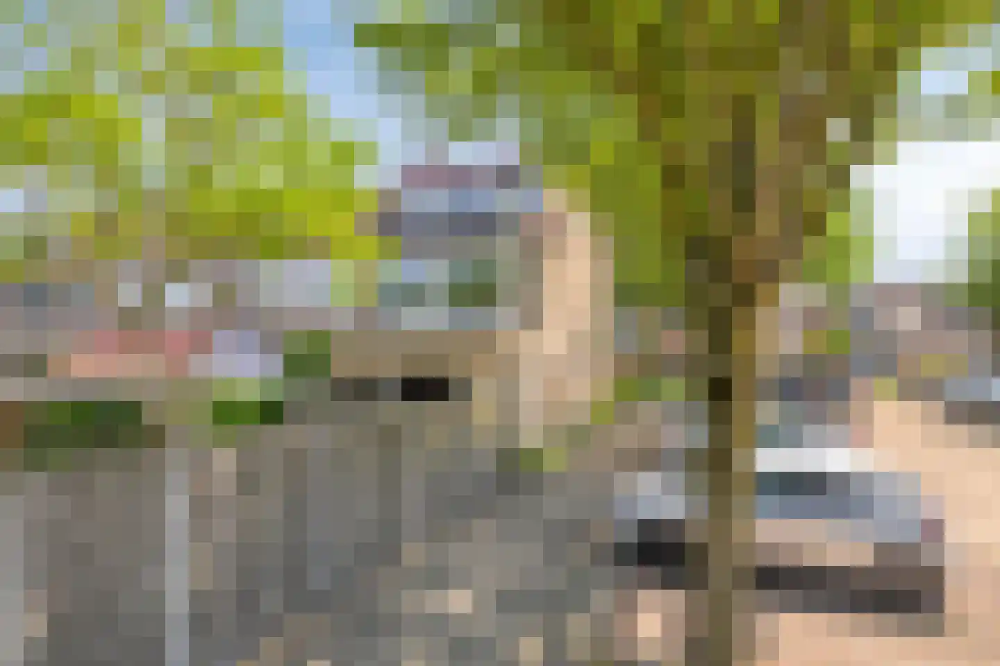 Boendermakerpad 1 Breda thumbnail 40
