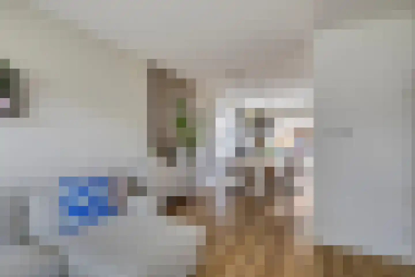 Boendermakerpad 1 Breda thumbnail 8