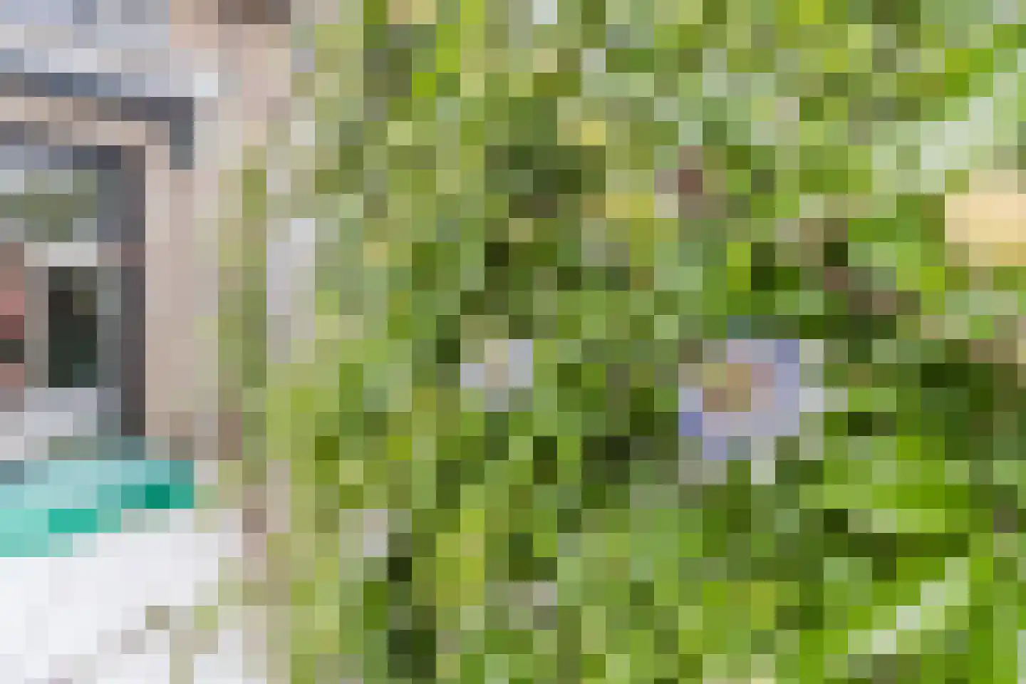 Boendermakerstraat 3 Breukelen thumbnail 32