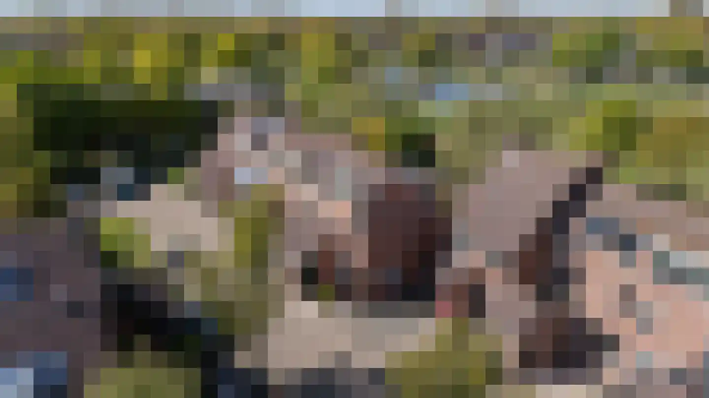 Boendersveld 18 Enkhuizen thumbnail 12