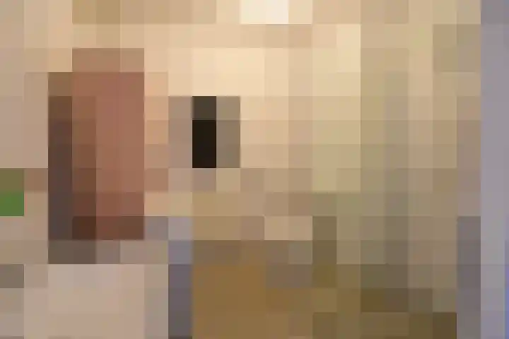 Boeninlaan 119 Amsterdam thumbnail 11