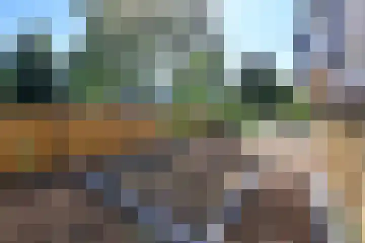 Boeninlaan 119 Amsterdam thumbnail 13