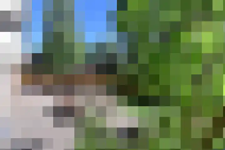 Boeninlaan 119 Amsterdam thumbnail 15