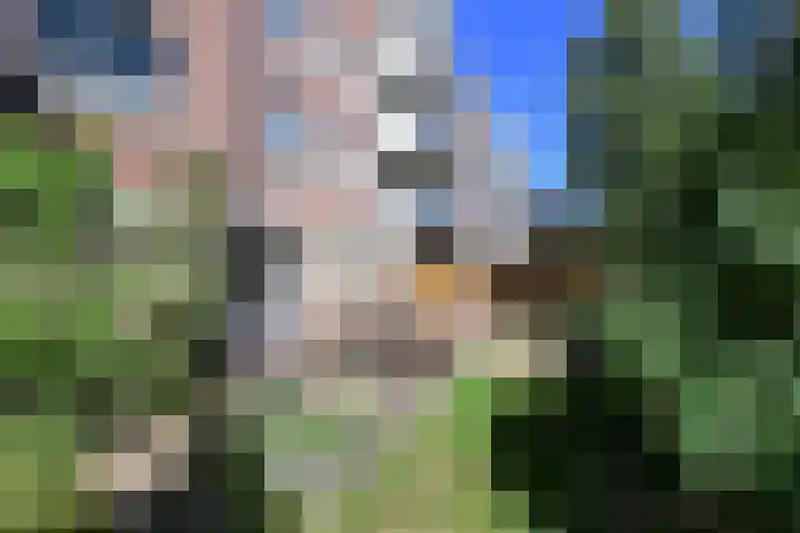 Boeninlaan 119 Amsterdam thumbnail 16