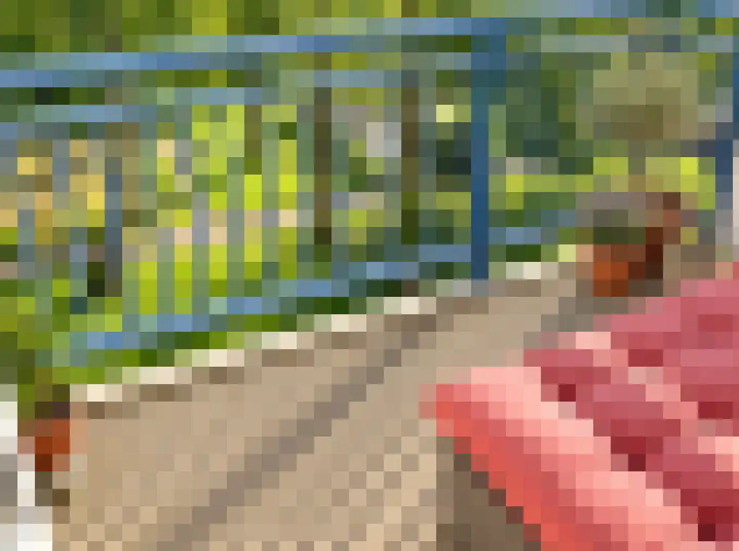 Boeninlaan 125 Amsterdam thumbnail 15