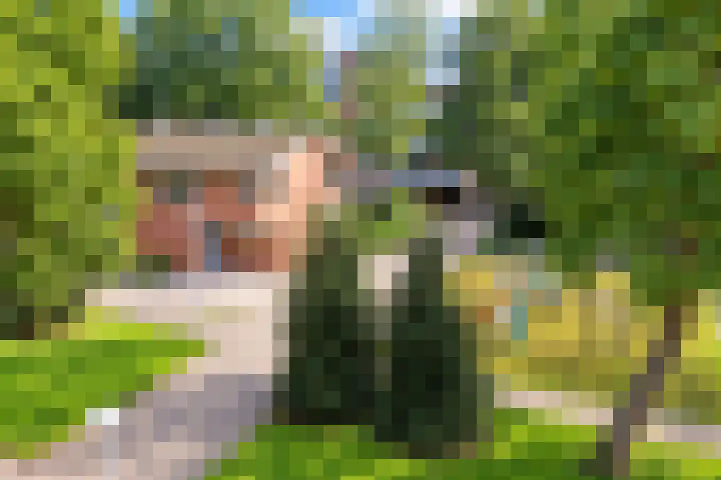 Boeninlaan 125 Amsterdam thumbnail 17