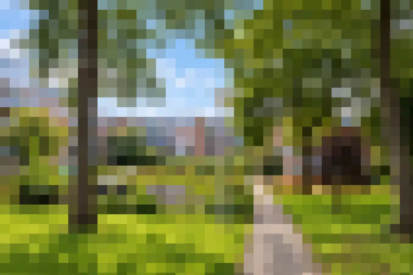 Boeninlaan 125 Amsterdam thumbnail 20