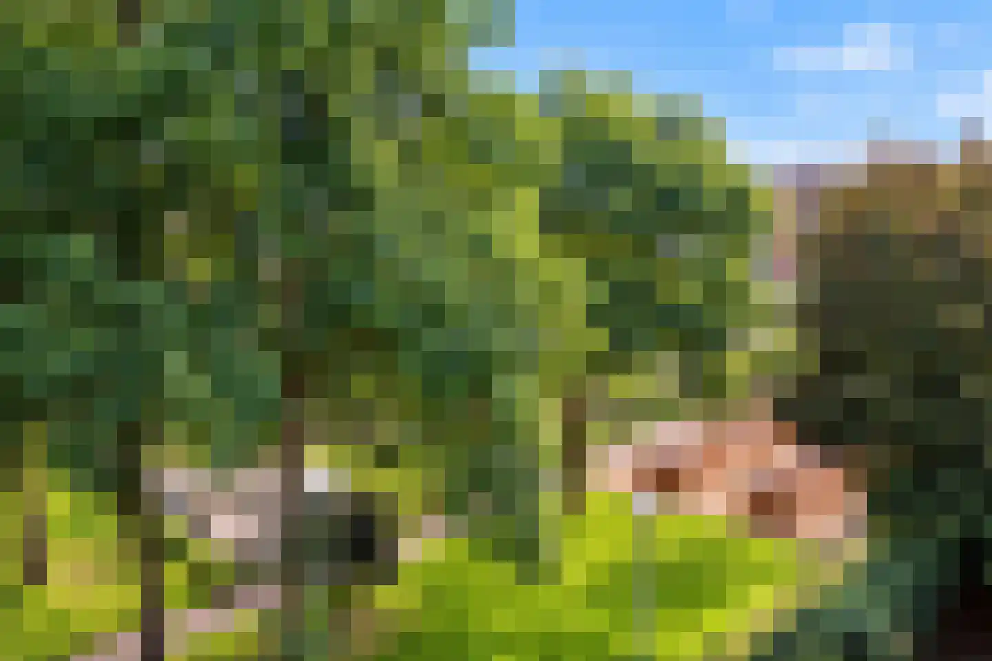 Boeninlaan 125 Amsterdam thumbnail 5