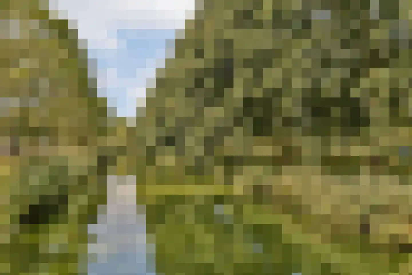Boeninlaan 147 Amsterdam thumbnail 18