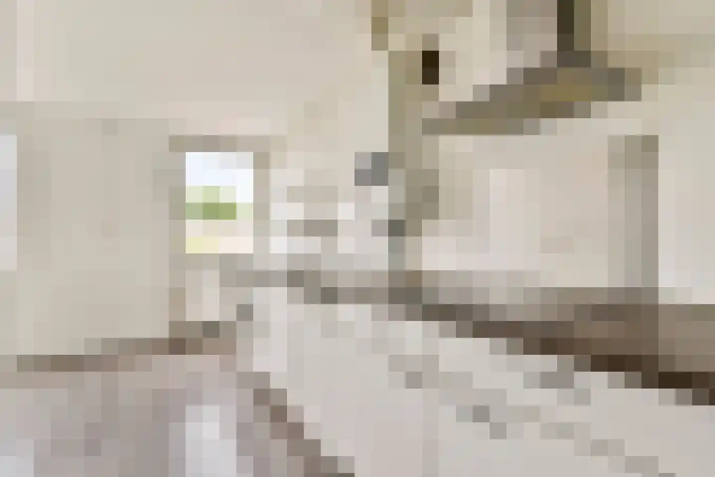 Boeninlaan 147 Amsterdam thumbnail 7
