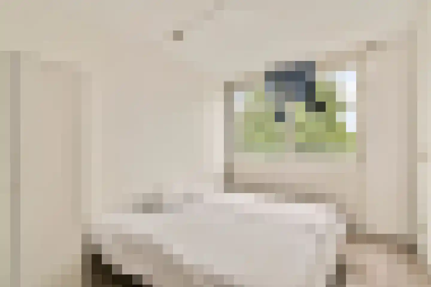 Boeninlaan 147 Amsterdam thumbnail 9