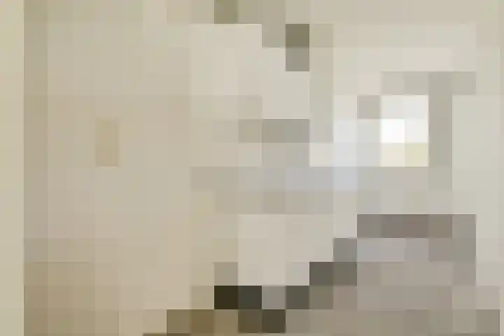 Boeninlaan 171 Amsterdam thumbnail 10