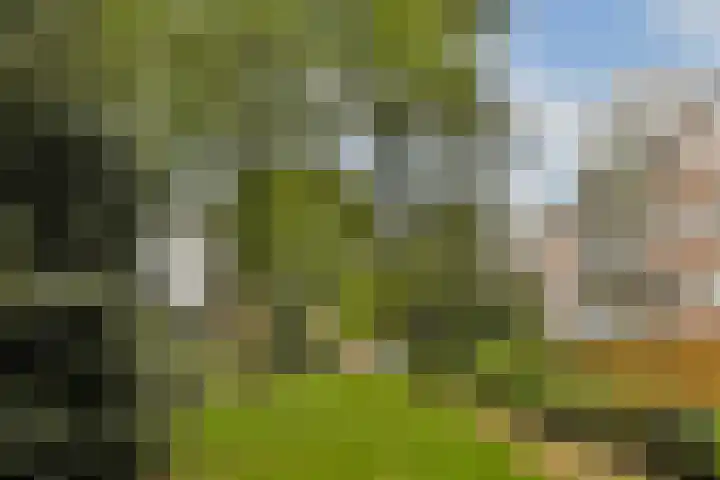 Boeninlaan 171 Amsterdam thumbnail 17