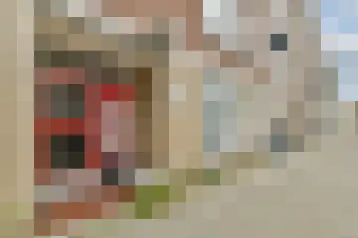 Boeninlaan 171 Amsterdam thumbnail 18