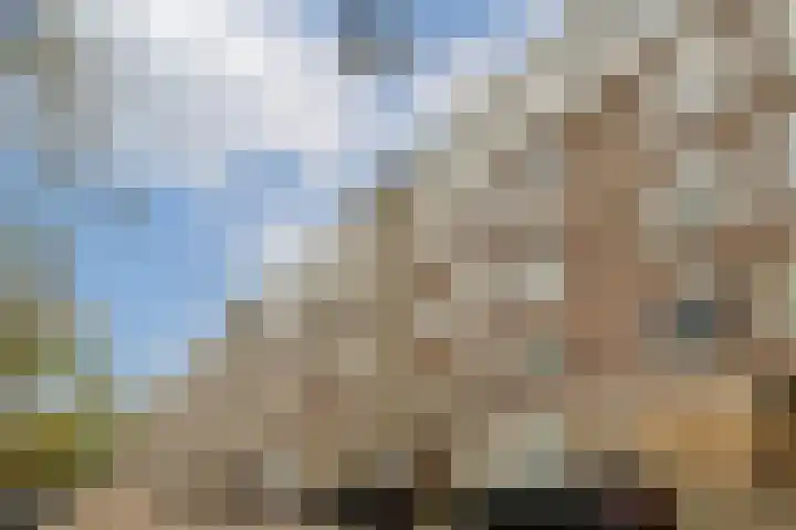 Boeninlaan 171 Amsterdam thumbnail 19