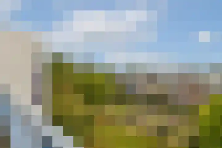 Boeninlaan 171 Amsterdam thumbnail 9