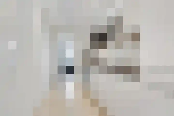 Boeninlaan 179 Amsterdam thumbnail 11