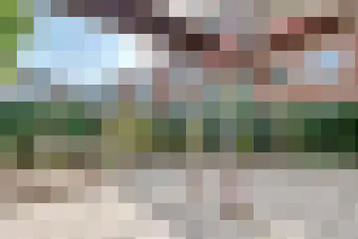 Boeninlaan 179 Amsterdam thumbnail 20