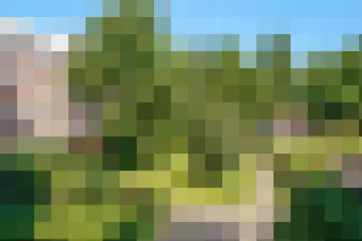 Boeninlaan 179 Amsterdam thumbnail 24