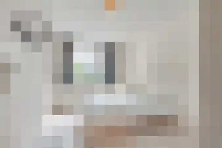 Boeninlaan 179 Amsterdam thumbnail 6