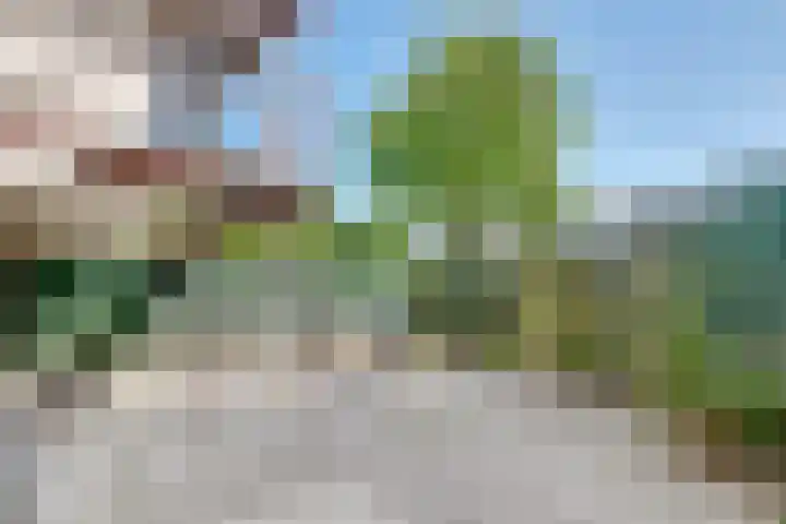 Boeninlaan 179 Amsterdam thumbnail 7