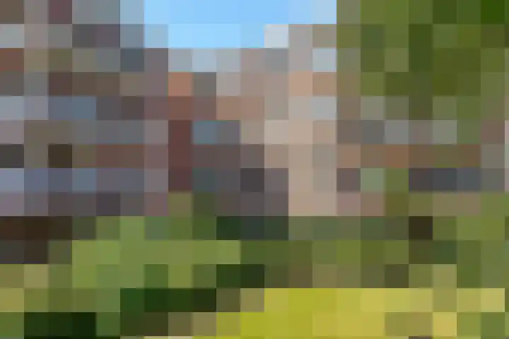 Boeninlaan 179 Amsterdam thumbnail 8