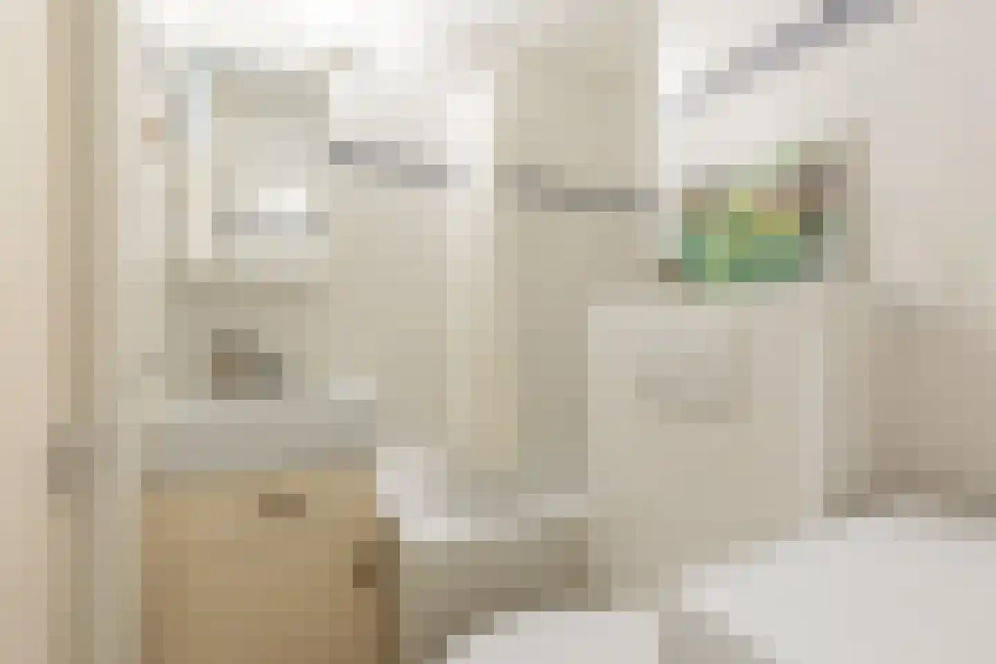 Boeninlaan 240 Amsterdam thumbnail 12