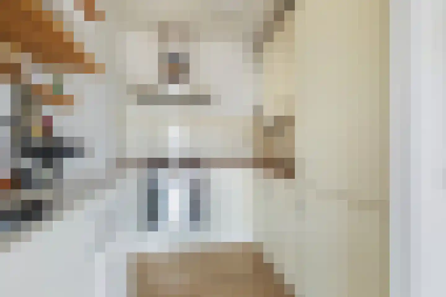 Boeninlaan 240 Amsterdam thumbnail 6
