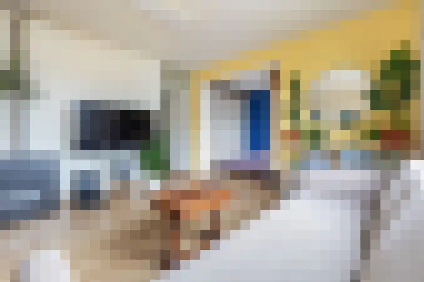 Boeninlaan 240 Amsterdam thumbnail 9