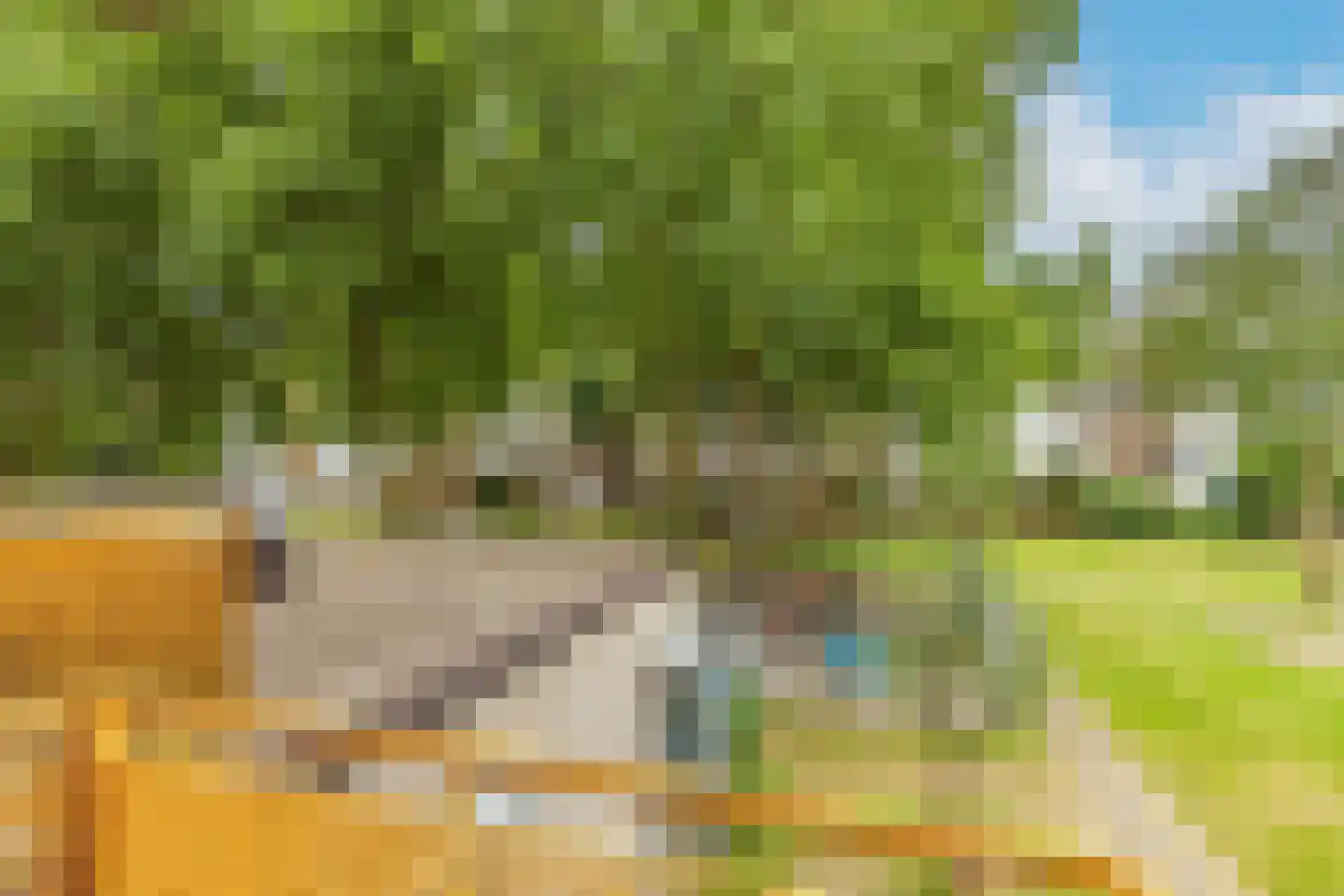 Boeninlaan 252 Amsterdam thumbnail 33