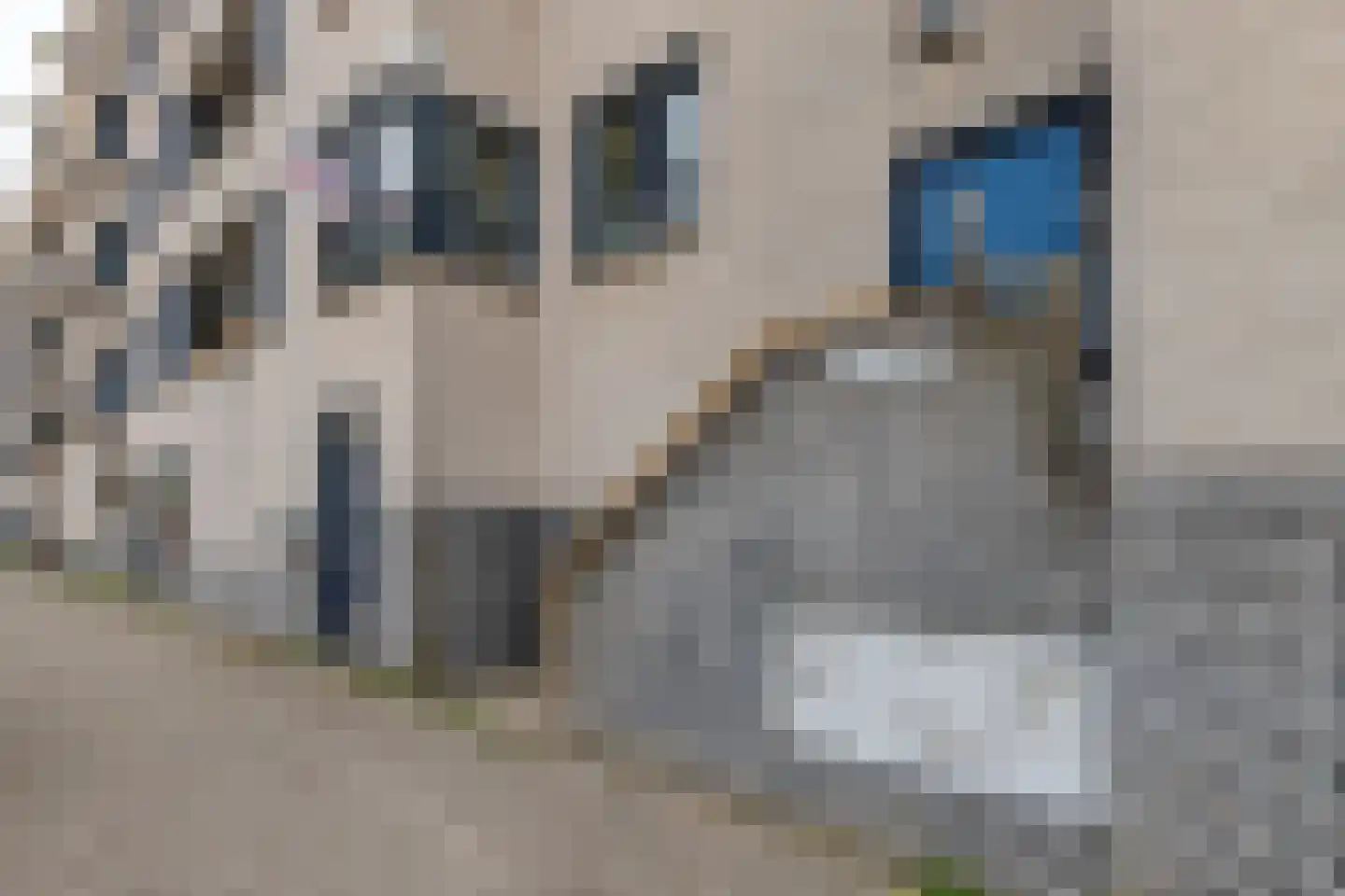 Boeninlaan 252 Amsterdam thumbnail 8