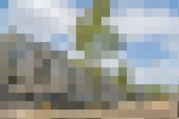 Boeninlaan 260 Amsterdam thumbnail 19