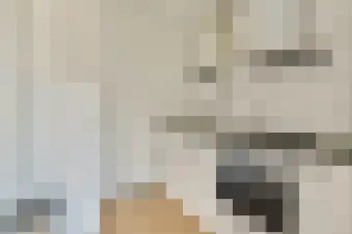 Boeninlaan 260 Amsterdam thumbnail 6