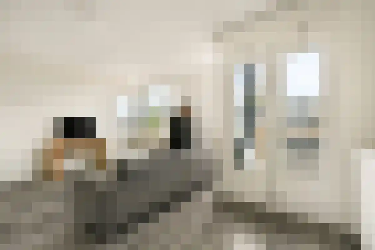 Boeninlaan 271 Amsterdam thumbnail 4