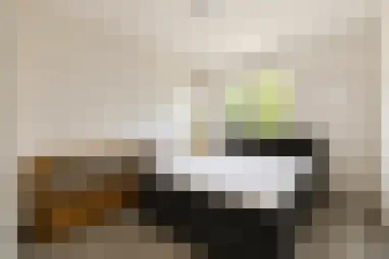 Boeninlaan 271 Amsterdam thumbnail 5