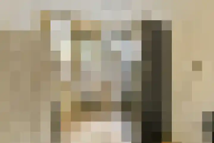 Boeninlaan 289 Amsterdam thumbnail 12