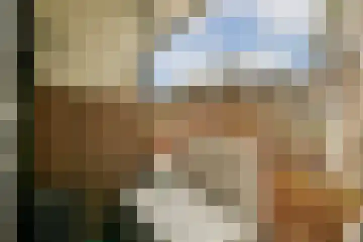 Boeninlaan 289 Amsterdam thumbnail 13