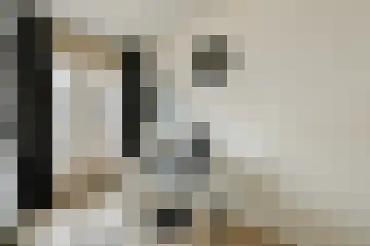 Boeninlaan 289 Amsterdam thumbnail 7