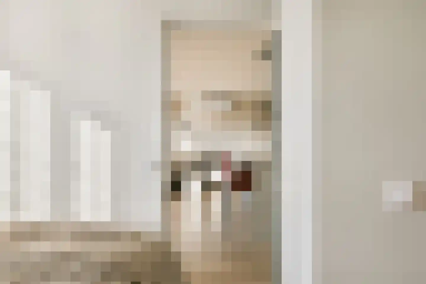 Boeninlaan 303 Amsterdam thumbnail 10