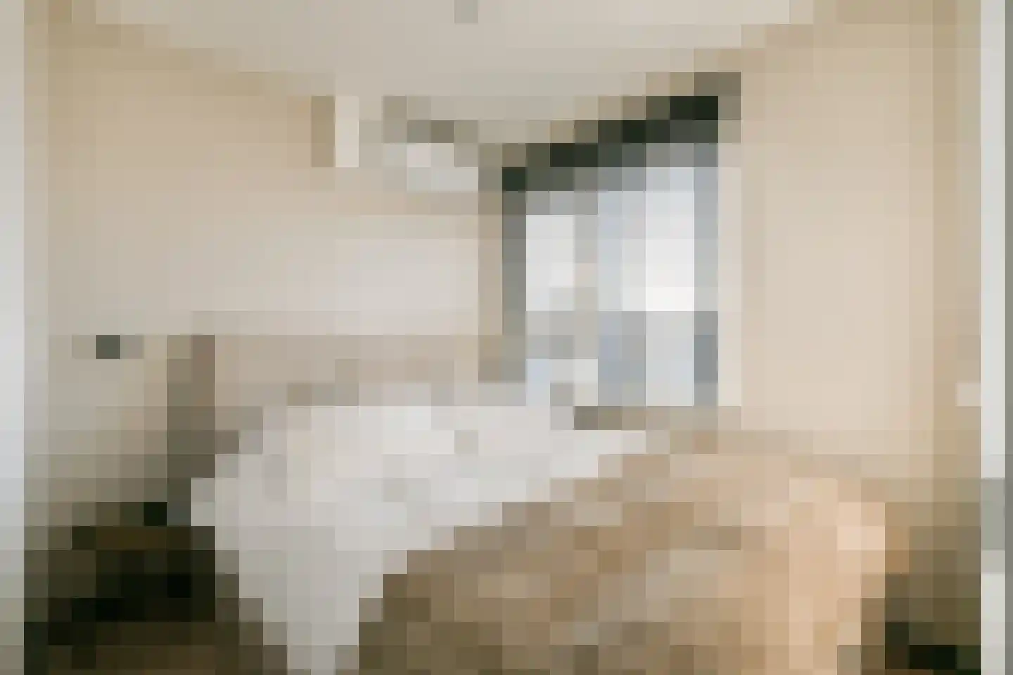 Boeninlaan 303 Amsterdam thumbnail 12