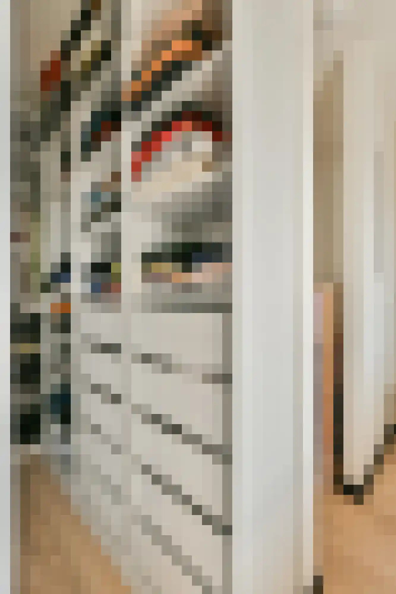 Boeninlaan 303 Amsterdam thumbnail 16