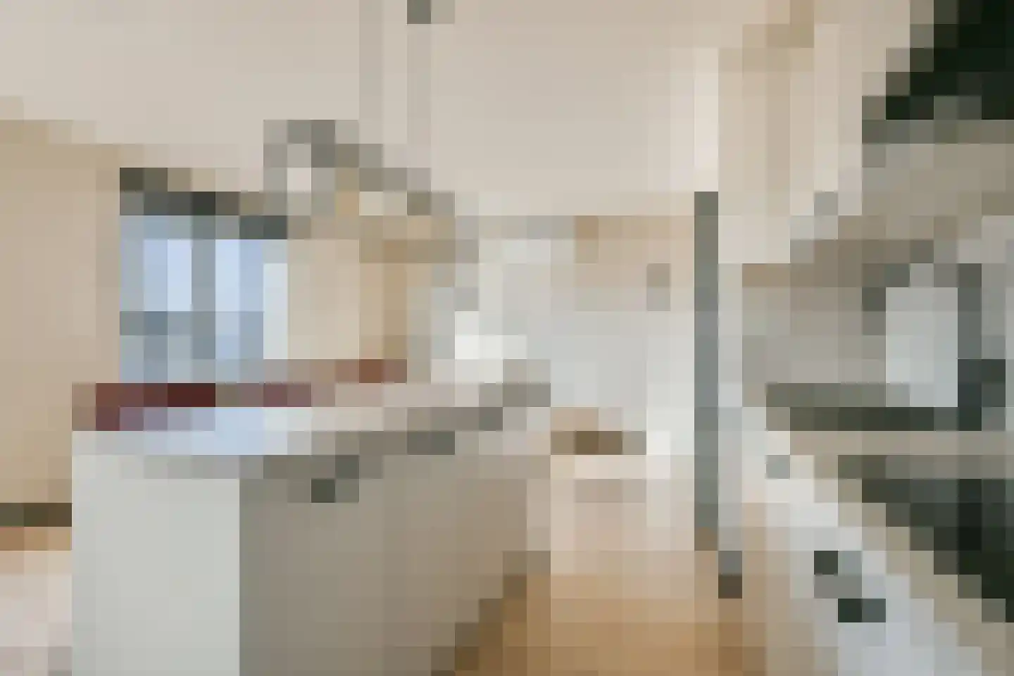 Boeninlaan 303 Amsterdam thumbnail 6