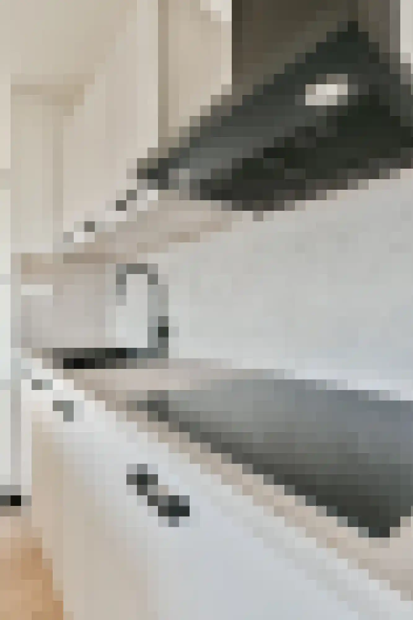 Boeninlaan 303 Amsterdam thumbnail 7