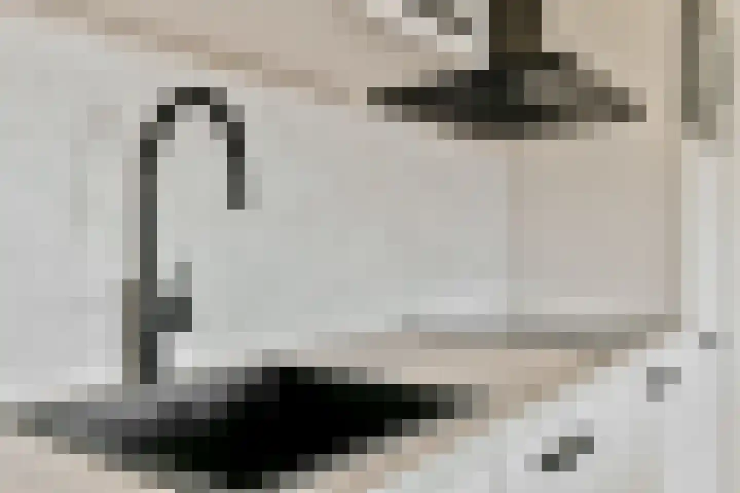 Boeninlaan 303 Amsterdam thumbnail 8