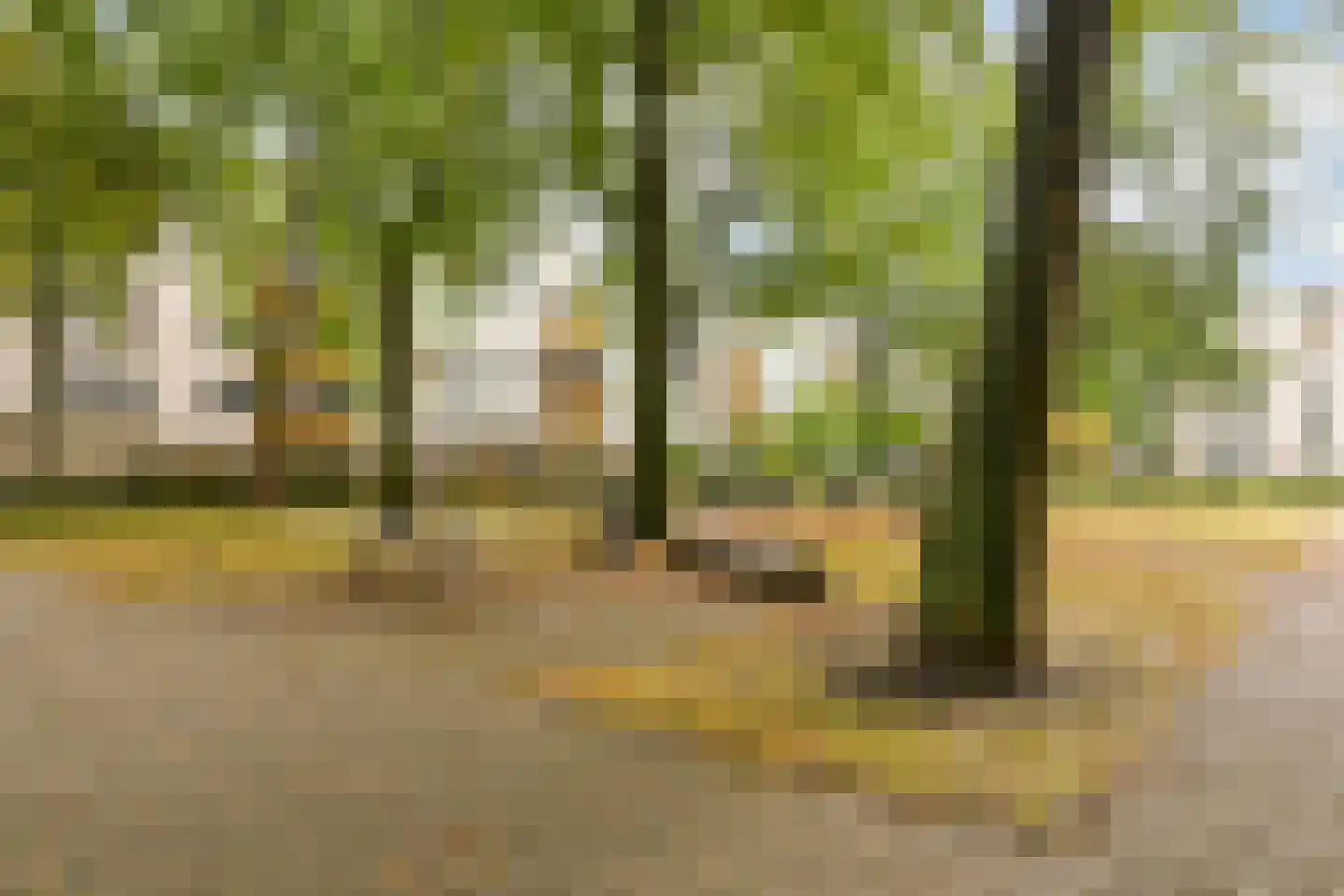 Boeninlaan 307 Amsterdam thumbnail 12