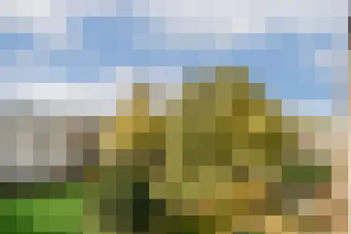 Boeninlaan 330 Amsterdam thumbnail 10