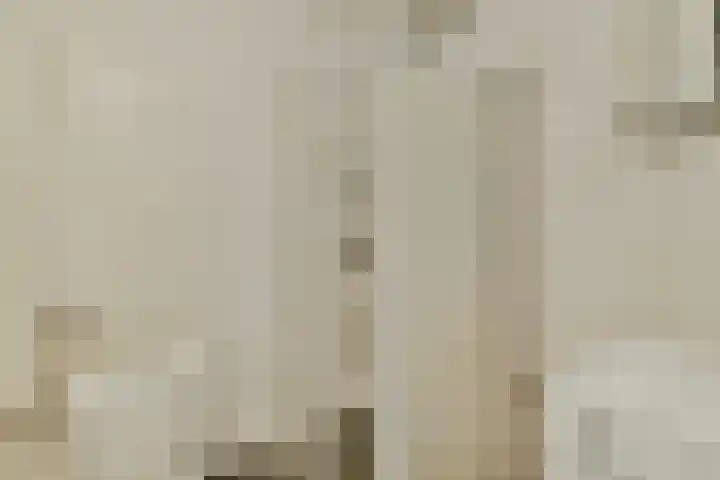 Boeninlaan 330 Amsterdam thumbnail 13